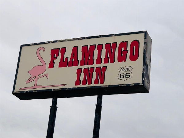 Flamingo Inn image 7